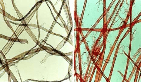 Nakshatra Process Control Industries